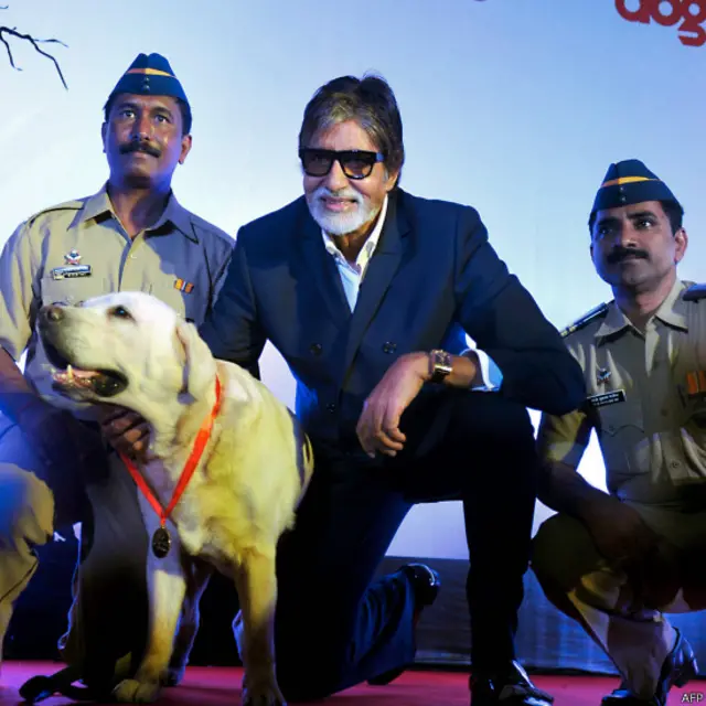 अमिताभ बच्चन ने एक कार्यक्रम में मुंबई पुलिस के स्निफ़र डॉग मैक्स को मेडल दिया. ये कुत्ता बम ढूँढने में पुलिस की मदद करता आया है.