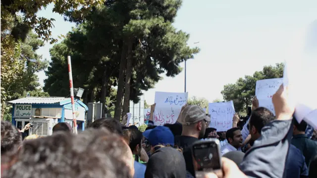 عکس از حامد