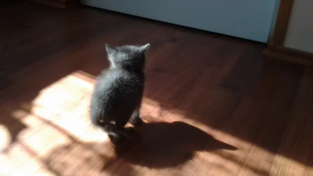 Фото: Урсула