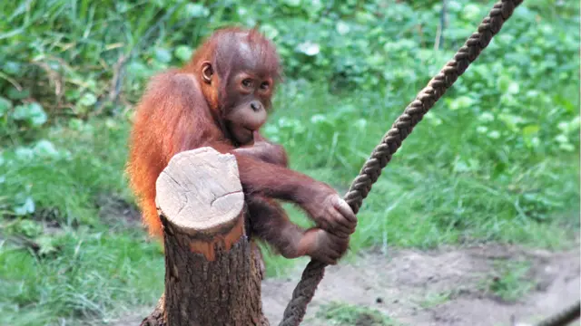 Фото: Александр Вольтер