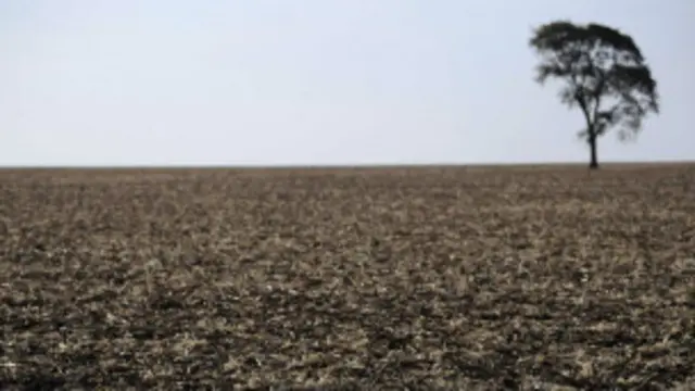 دغه ځمکې چې شاوخوا يو نيم میليون جريبو ته رسيږي ارزښت يې تر اوه مليارده ډالرو پورته دى