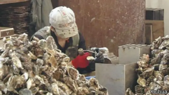 在日本的中国劳务人员