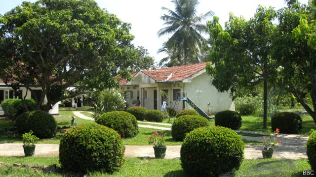 නිසල දිය