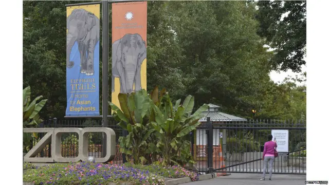 華盛頓的國家動物園也停止開放，因為那裏的工作人員也是政府雇員。但是不要擔心，動物飼養仍然照常進行。