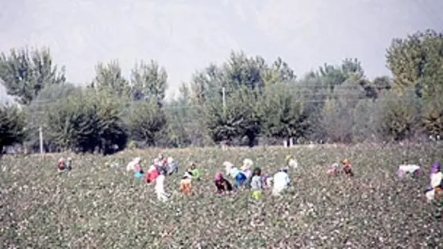 کشاورزان در مزارع