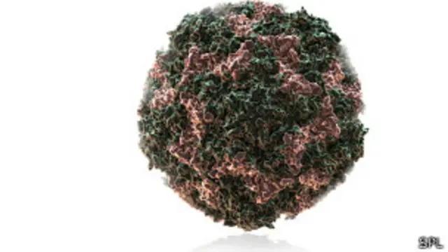 Human Rhinovirus-14
