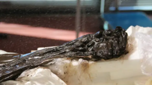 El brazo del hombre de Cashel