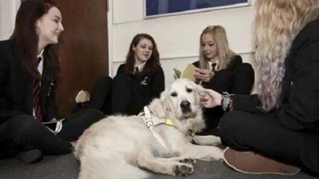 हान्ना और गाइड कुत्ता रोरी