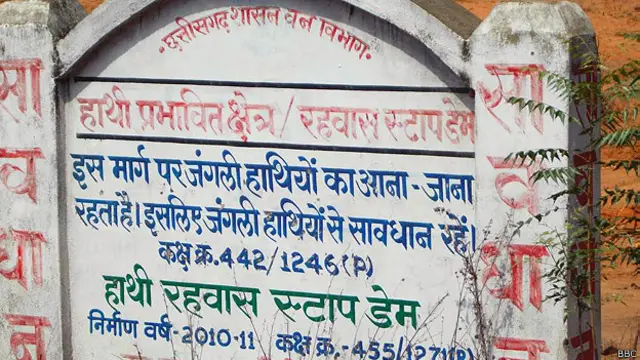 हाथी, इंसान, संघर्ष, कॉरीडोर, छत्तीसगढ़, ओडिशा