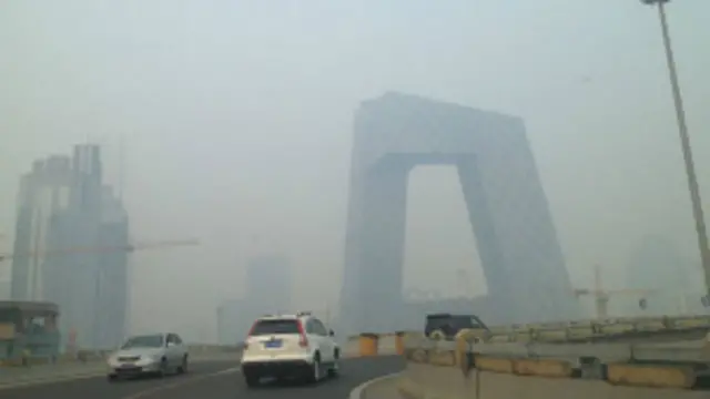 چارواکي وايي د شنو سيمو له منځه تلو او د ځنګلونو وهل کېدو هوا خرابه کړې ده