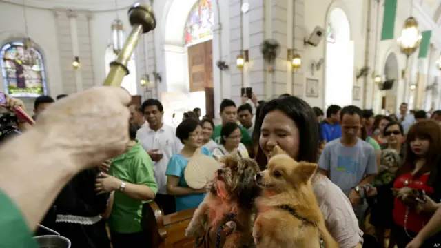 जानवरों के संरक्षक असीसी के संत फ्रांसिस