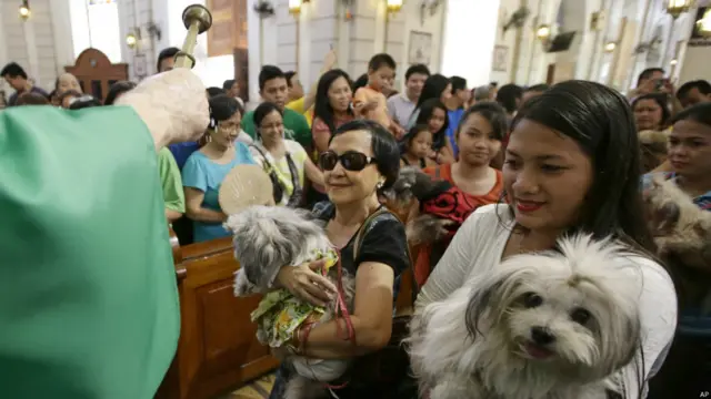 जानवरों के संरक्षक असीसी के संत फ्रांसिस