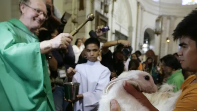 जानवरों के संरक्षक असीसी के संत फ्रांसिस