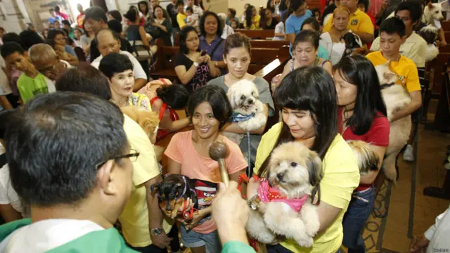 जानवरों के संरक्षक असीसी के संत फ्रांसिस