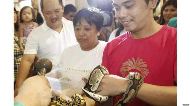 जानवरों के संरक्षक असीसी के संत फ्रांसिस