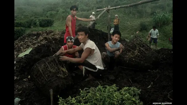 دارجیلنگ میں چائے کے 87 باغات ہیں، جو سینکڑوں ایکڑ پر پھیلے ہوئے ہیں۔