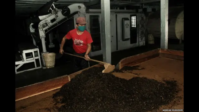 دارجیلنگ میں پیدا ہونے والی چائے اسی علاقے میں تیار کرنے کے بعد بھارت کے مختلف علاقوں اور پھر دنیا بھر میں برآمد کی جاتی ہے۔