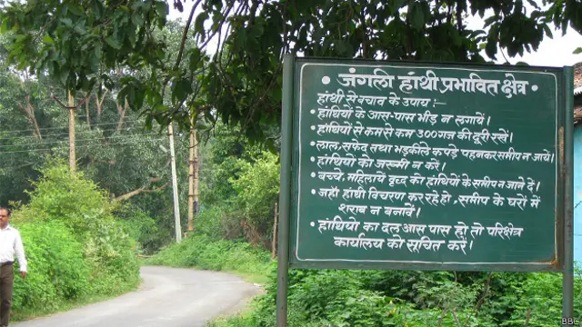 हाथी, छत्तीसगढ़, घरों पर हमला, गांववाले