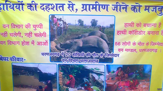 हाथी, छत्तीसगढ़, घरों पर हमला, गांववाले