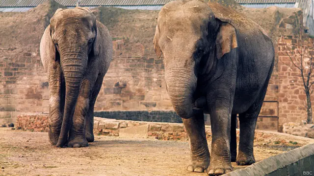 फ़ाइल फोटो