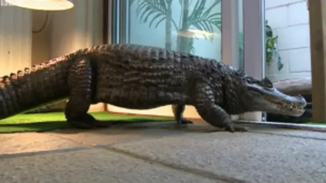 راجہ بھیا پر ایک سینیئر پولیس افسر کے قتل میں ملوث ہونے کا الزام تھا