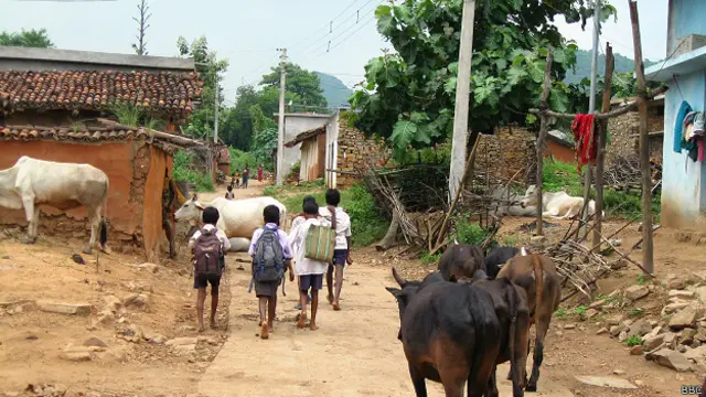 हाथी, नक्सल, माओवाद, झारखंड