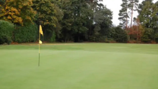 Golf là môn thể thao hiện đang tập trung cho người có thu nhập cao ở VN.