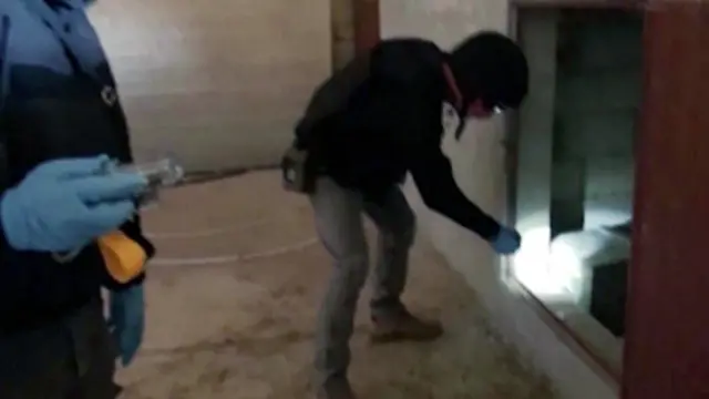 المفتشون الدوليون