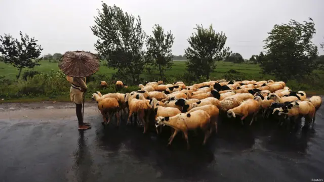 पायलिन तूफ़ान