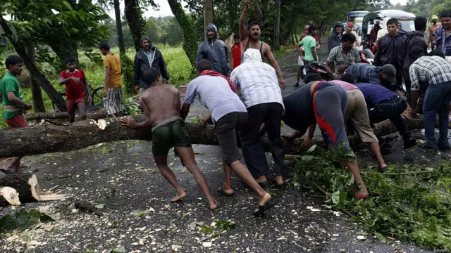 الرياح أدت إلى انقطاع التيار الكهربائي، وسقوط أشجار في الطريق الرئيس.