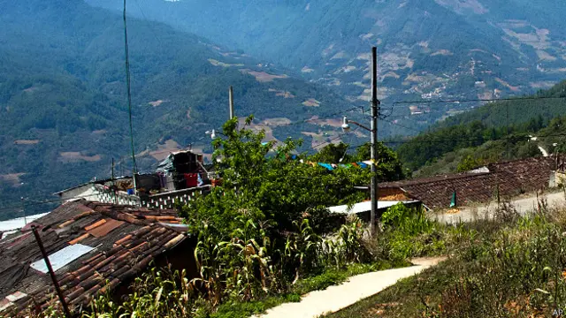 मैक्सिको, टेलीफ़ोन नेटवर्क, मोबाइल