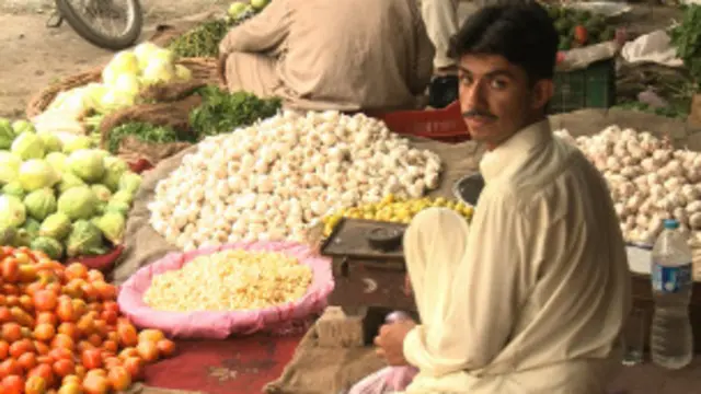 پاکستان ایک زرعی ملک ہے جس کی معیشت کا انحصار زراعت پر ہے