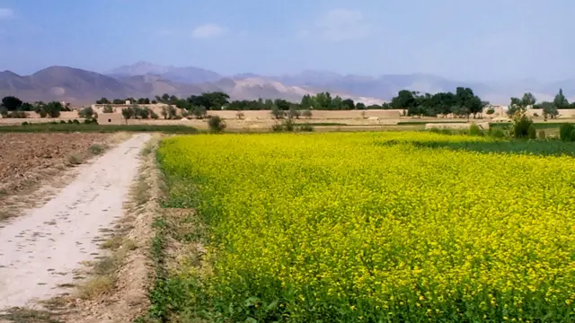 ساحه‌ای از غزنی در نزدیک شاهراه حلقوی 