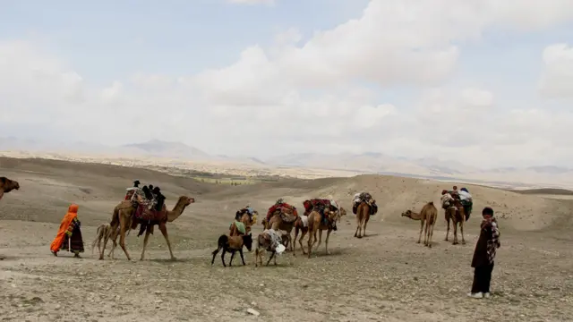 مردم در بیشتر جاهای غزنی هنوز برای سفرهای طولانی قافله می بندند.