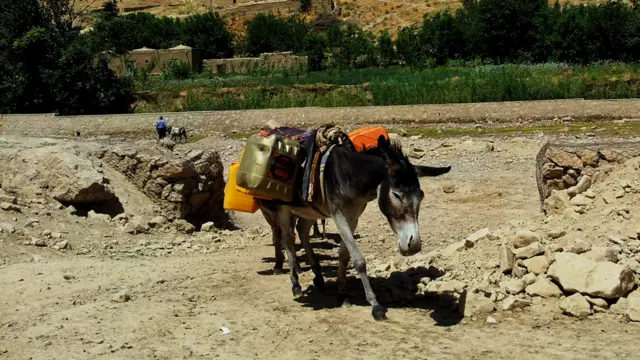 کمبود آب از مشکلات اساسی بادغیس است و یک بشکه آب در این منطقه، 40 افغانی به فروش می رسد.