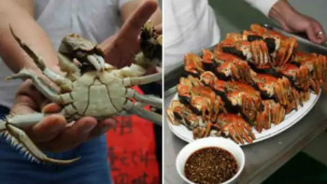 秋風一起，菊香蟹肥。螃蟹是很多中國人愛吃的美味佳餚