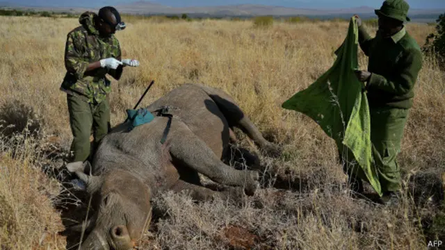 Сотрудники Кенийской природоохранной службы