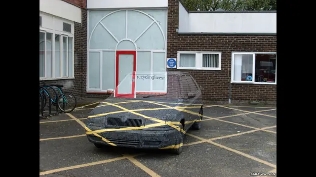 वाइल्ड आर्ट