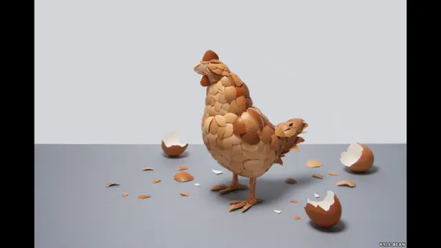 वाइल्ड आर्ट