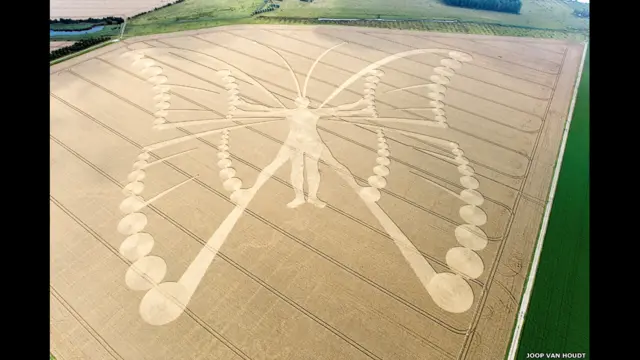 वाइल्ड आर्ट