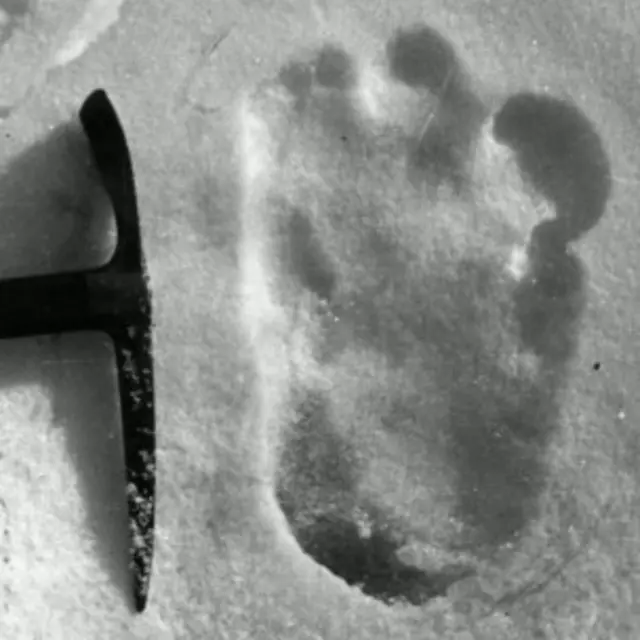 Suposta pegada do Yeti