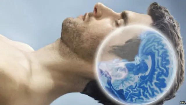 Спящий мозг