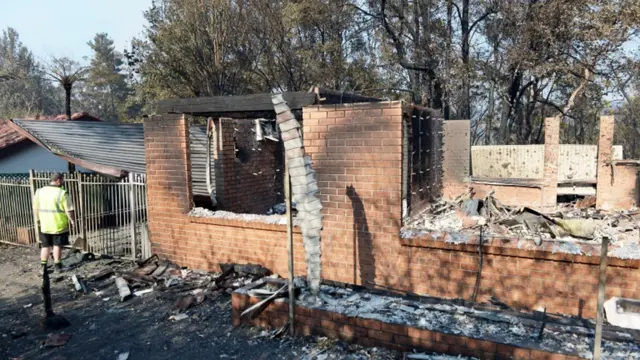 سڈنی کے مضافات میں واقع بلیو ماؤنٹینز کا علاقہ آگ سے سب سے زیادہ متاثر ہوا ہے۔