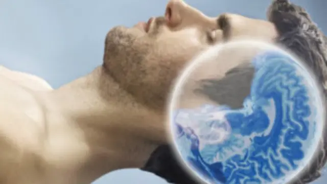 اس تحقیق کے دوران سائنسدانوں نے چوہوں کے دماغ کا مشاہدہ کیا