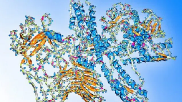 बॉटुलिनम टॉक्सिन 