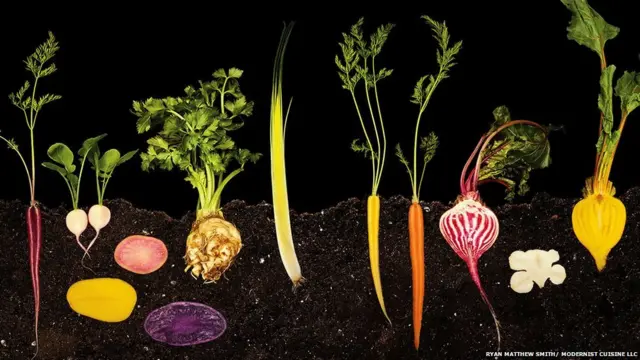 نیتھن کے مطابق اس تصویر کو کھینچنا تکنیکی طور پر بہت مشکل تھا مگر اس سے جو ظاہر ہوا وہ دنیا کی نظر سے اوجھل ایک اور دنیا کی جھلک تھی