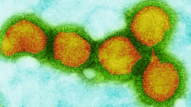 Virus de influenza