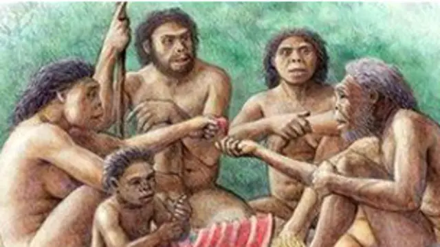 انسان اولیه