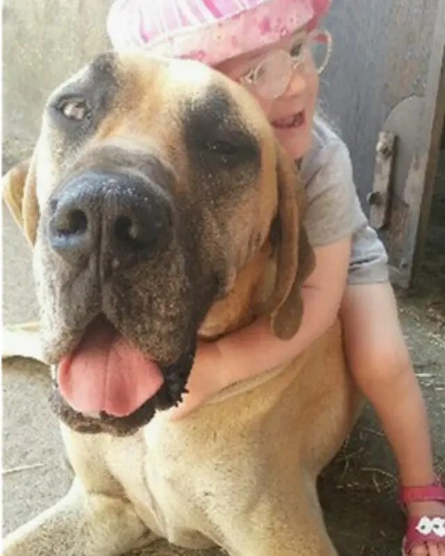 मिर्गी की चेतावनी देने वाला कु्त्ता