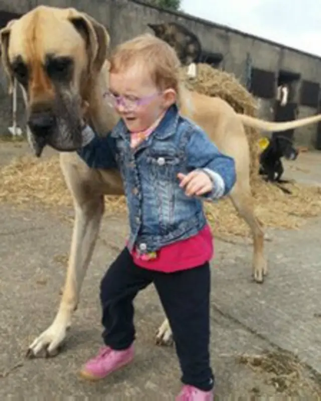 मिर्गी की चेतावनी देने वाला कु्त्ता